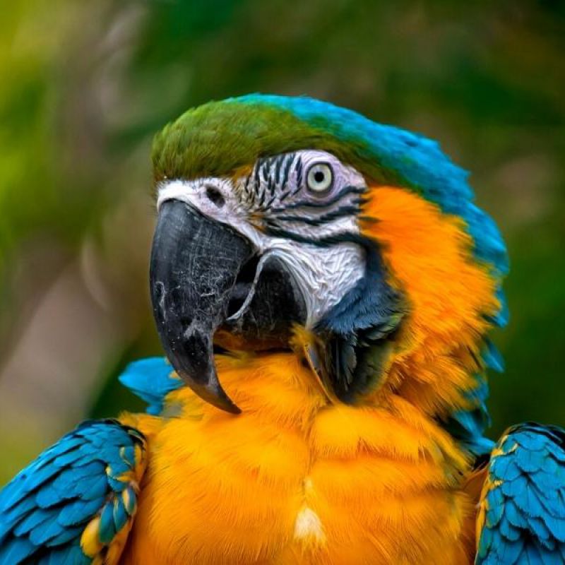 Naturaleza y ecoturismo desde México