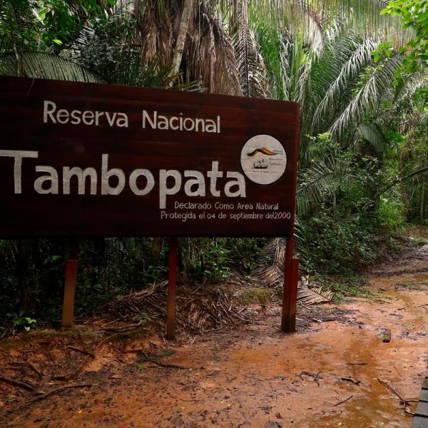 Tours en Tambopata  desde México