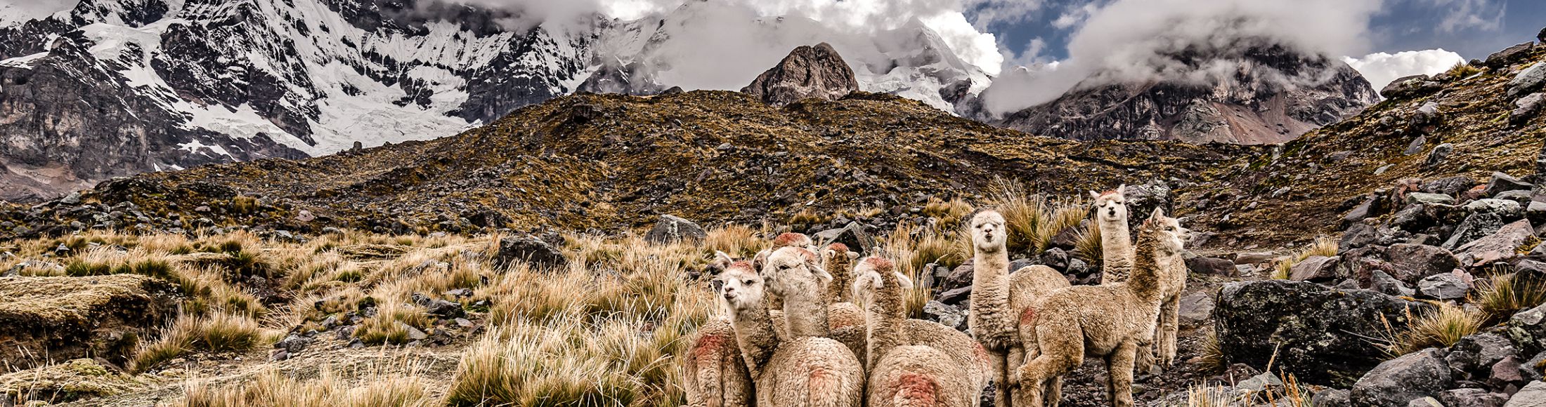 Machu Picchu 8D7N Viajero (Full Aventura Tendencia)  desde México