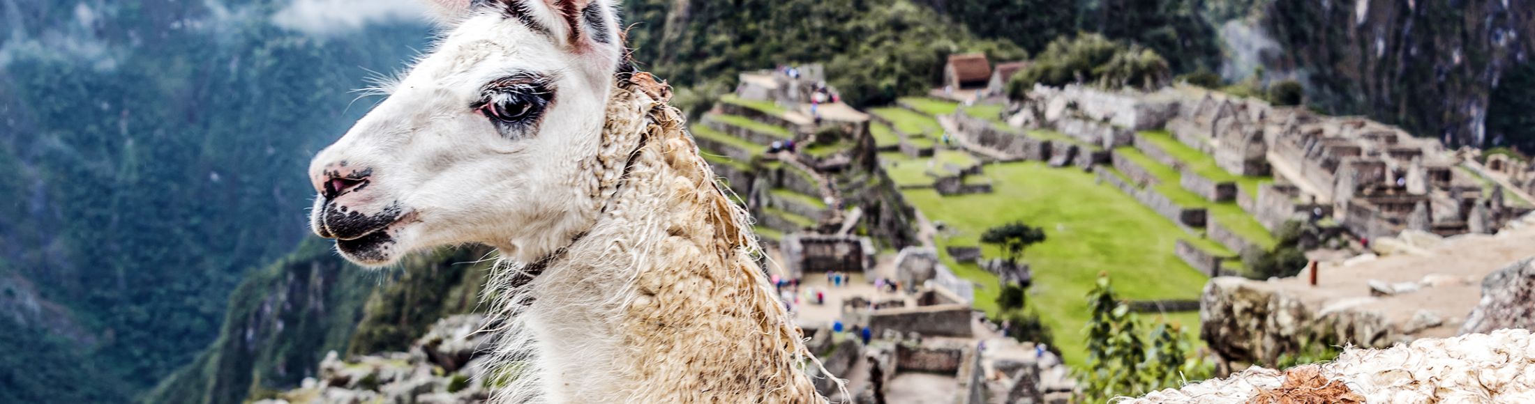 Machu Picchu 8D7N Viajero (Full Cultural)  desde México