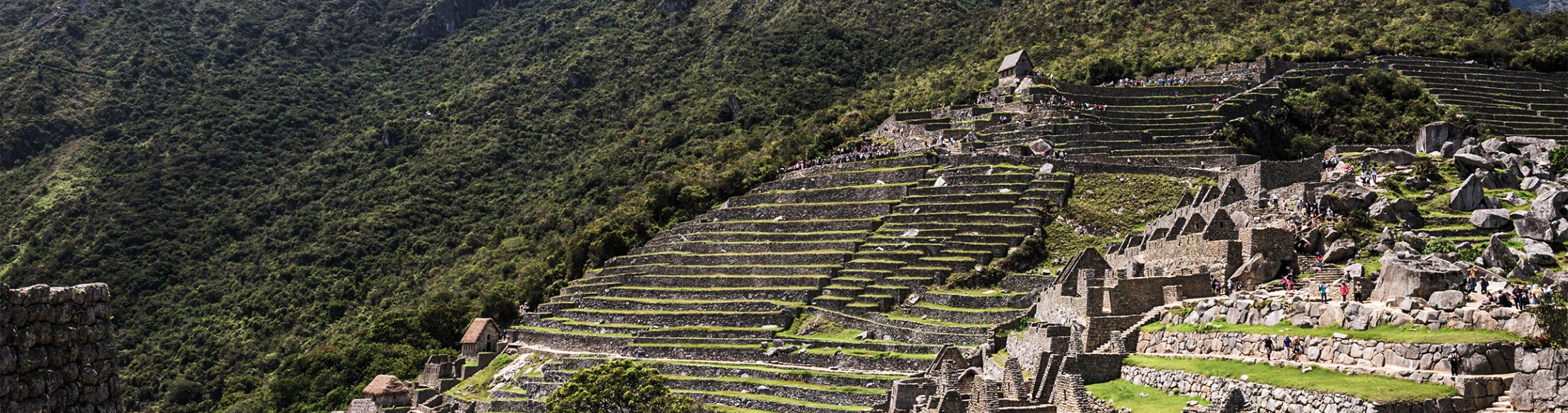 Machu Picchu 8D7N Viajero (Aventura Clásica)  desde México